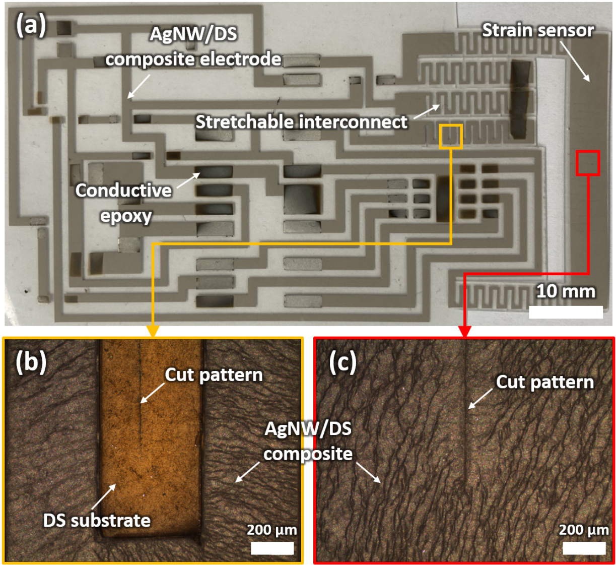 Fabrication of Wearable Sensor System Based on Stretchable Polymer ...